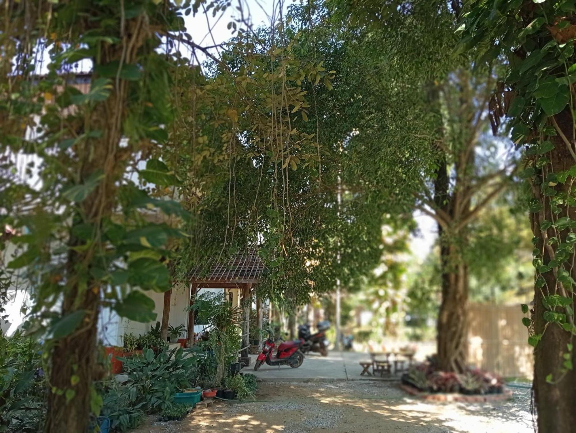Vangvieng Ruby'Homestay Vang Vieng Εξωτερικό φωτογραφία