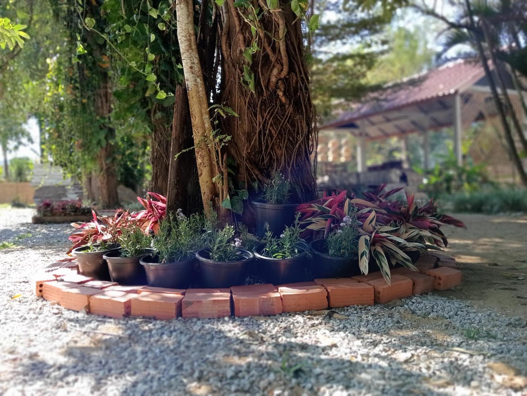 Vangvieng Ruby'Homestay Vang Vieng Εξωτερικό φωτογραφία